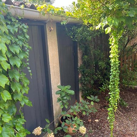 Appartement Cosy Avec Jardin Quartier Calme Тулуза Экстерьер фото